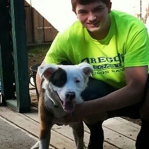 Meet your Posher, Jerad